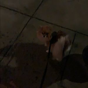 Meet your Posher, Stelios